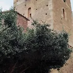 Chez Seb Et Cha Saint-Feliu-d'Amont